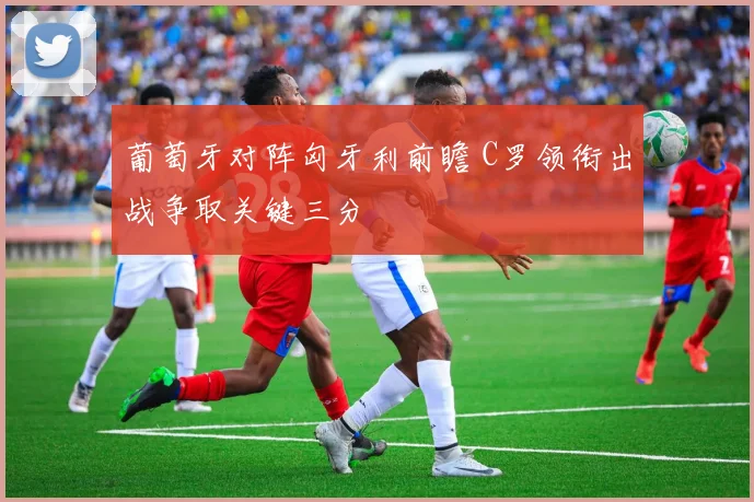 葡萄牙对阵匈牙利前瞻 C罗领衔出战争取关键三分