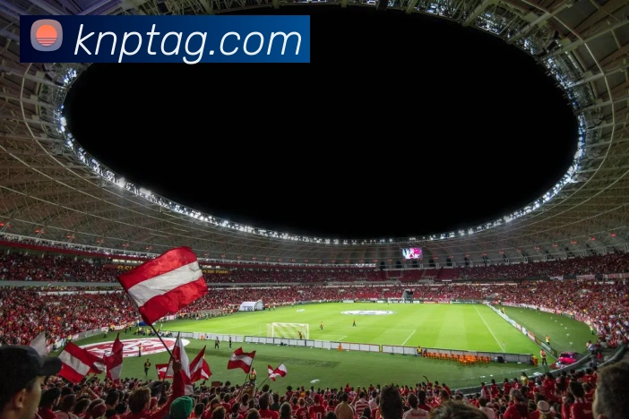 世界杯平台官网登录平台生态图