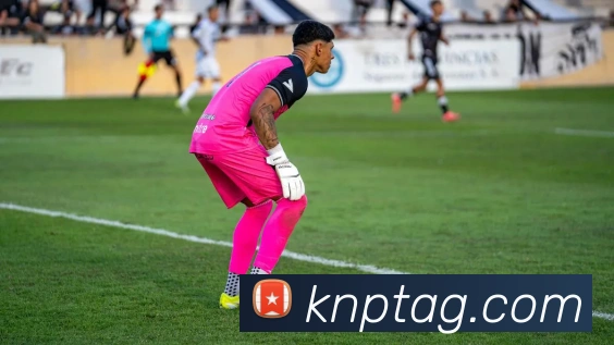 世界杯平台官网登录APP 封面图